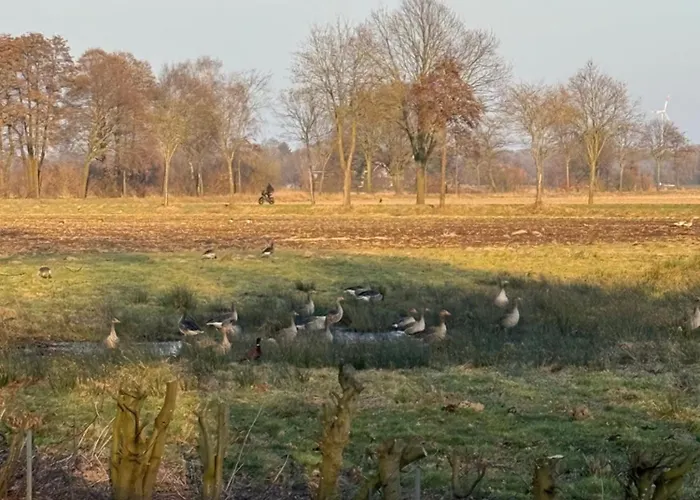 Nyaraló Hygge Am Duemmersee